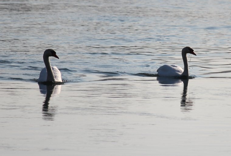 Etap Reise Tag 3 (07)