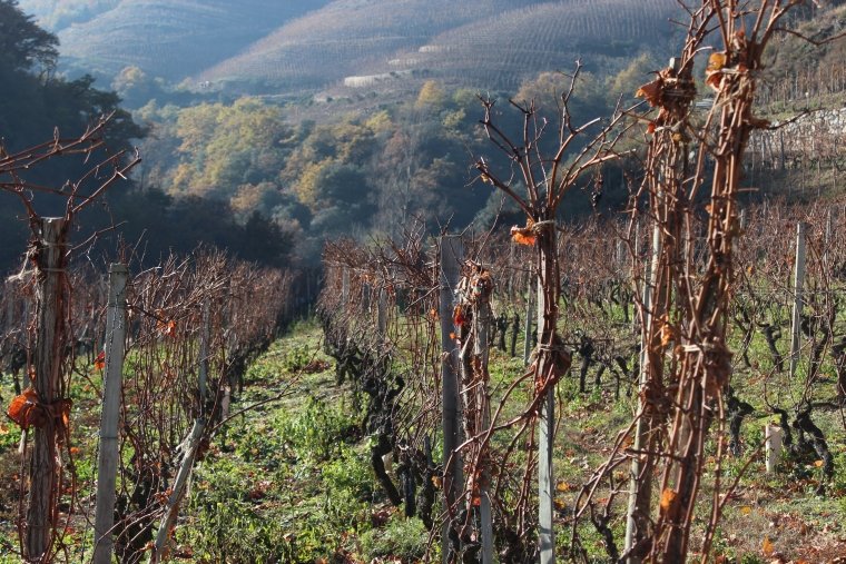 Etap Reise Tag 3 (05)