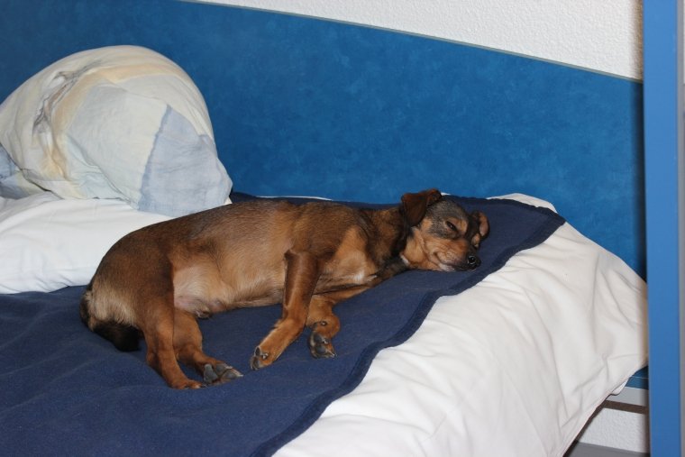 Etap Reise Tag 3 (09)