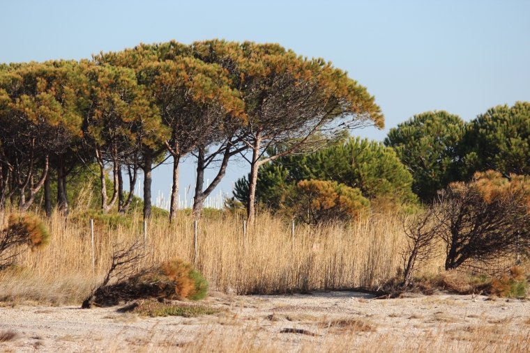 Etap Reise Tag 4 (4)