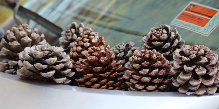 Etap Reise Tag 4 (5)