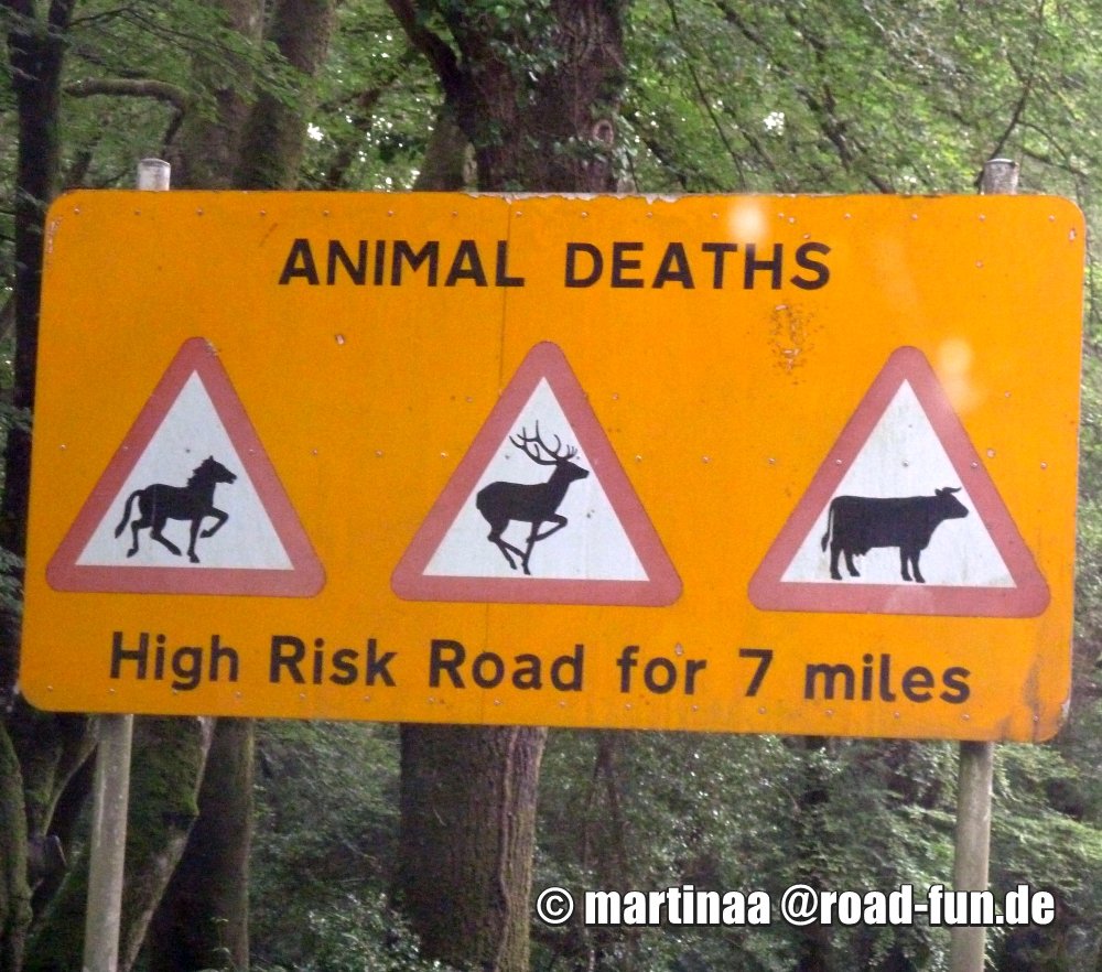 Gefahrenschild England - Pferde, Hirsche und Kühe