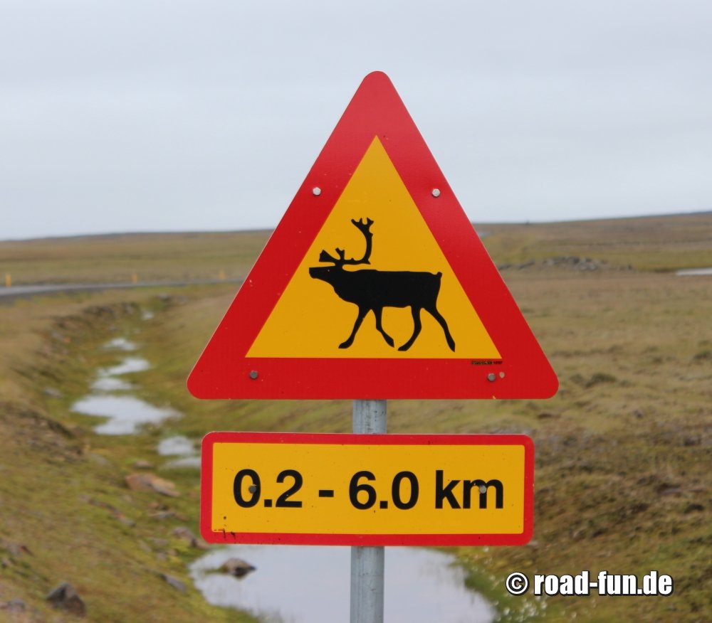 Gefahrenschild Island - Rentiere