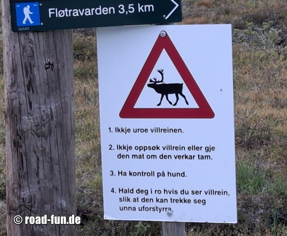 Gefahrenschild Norwegen - Rentiere