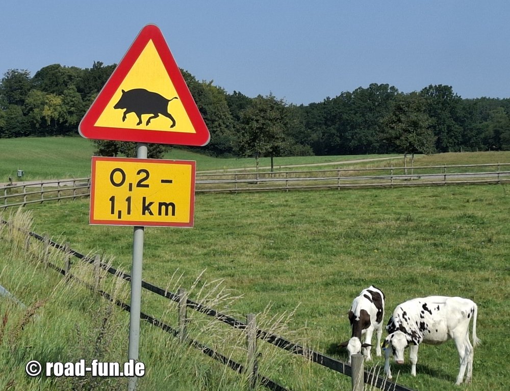 Gefahrenschild Schweden - Wildschweine