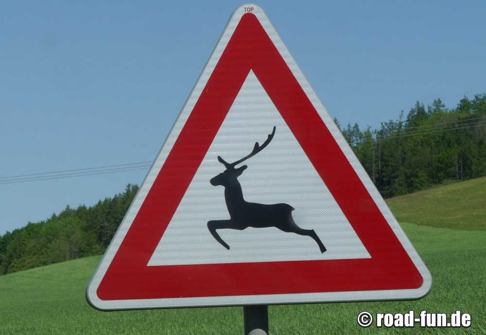 Gefahrenschild Tschechien - Wildwechsel