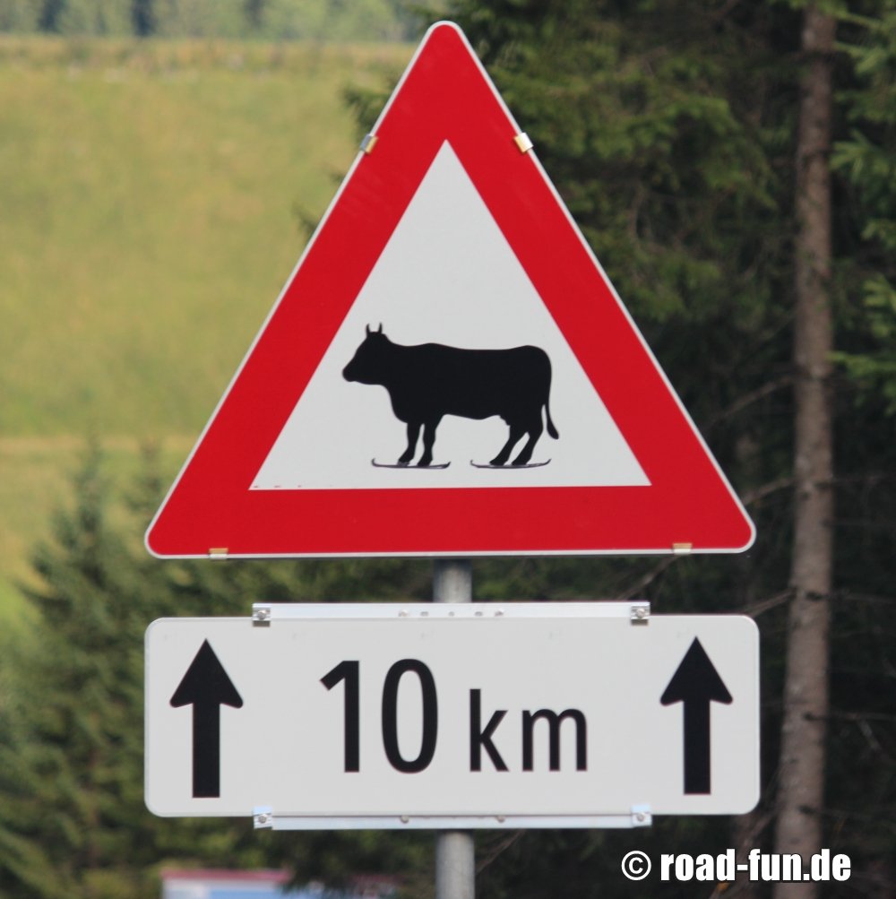Gefahrenschild Österreich - Kühe auf der Straße 