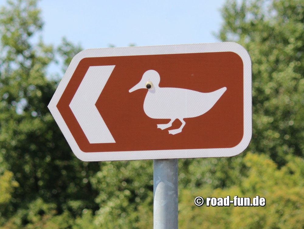 Hinweisschild Wales - Bird Watch