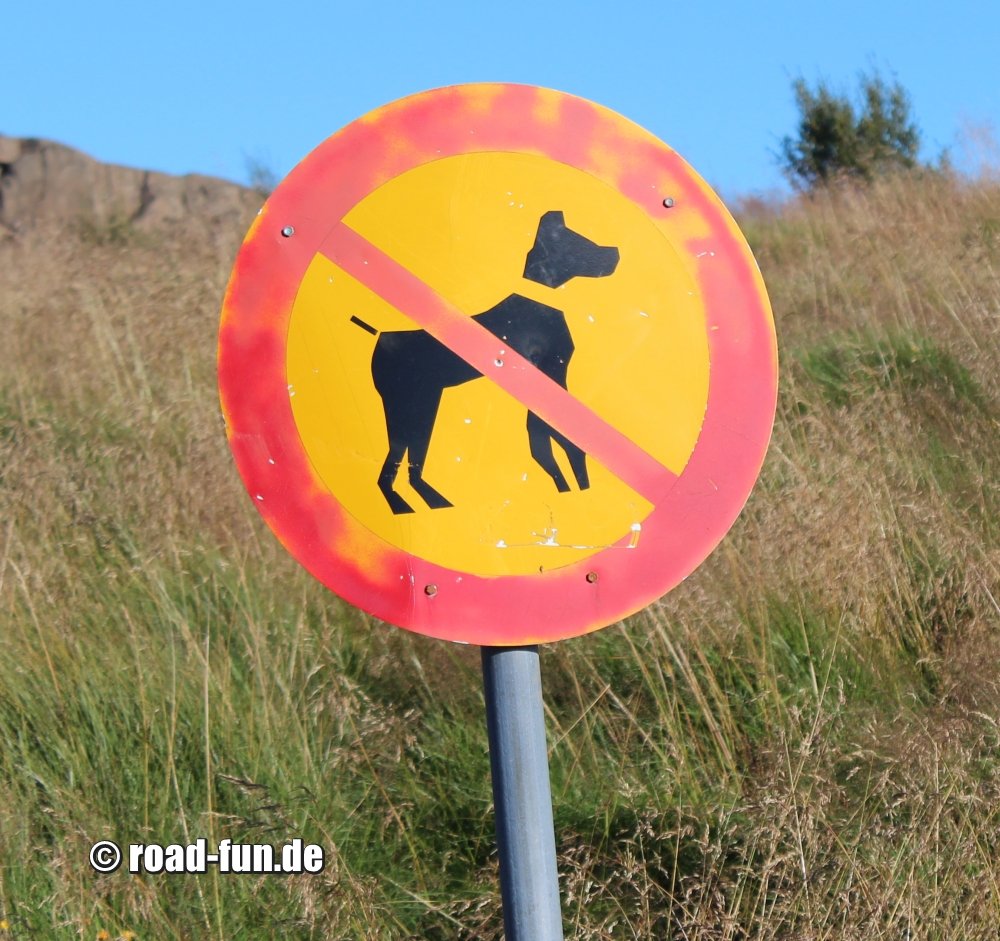 Island Verbotsschild - Hunde
