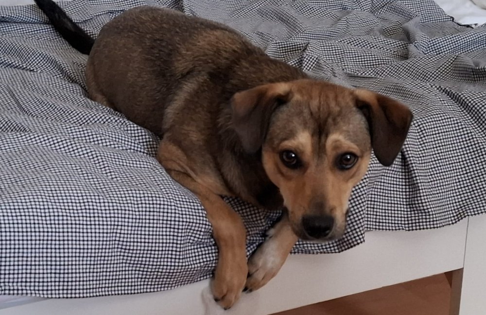 Oskar06 Oskar06