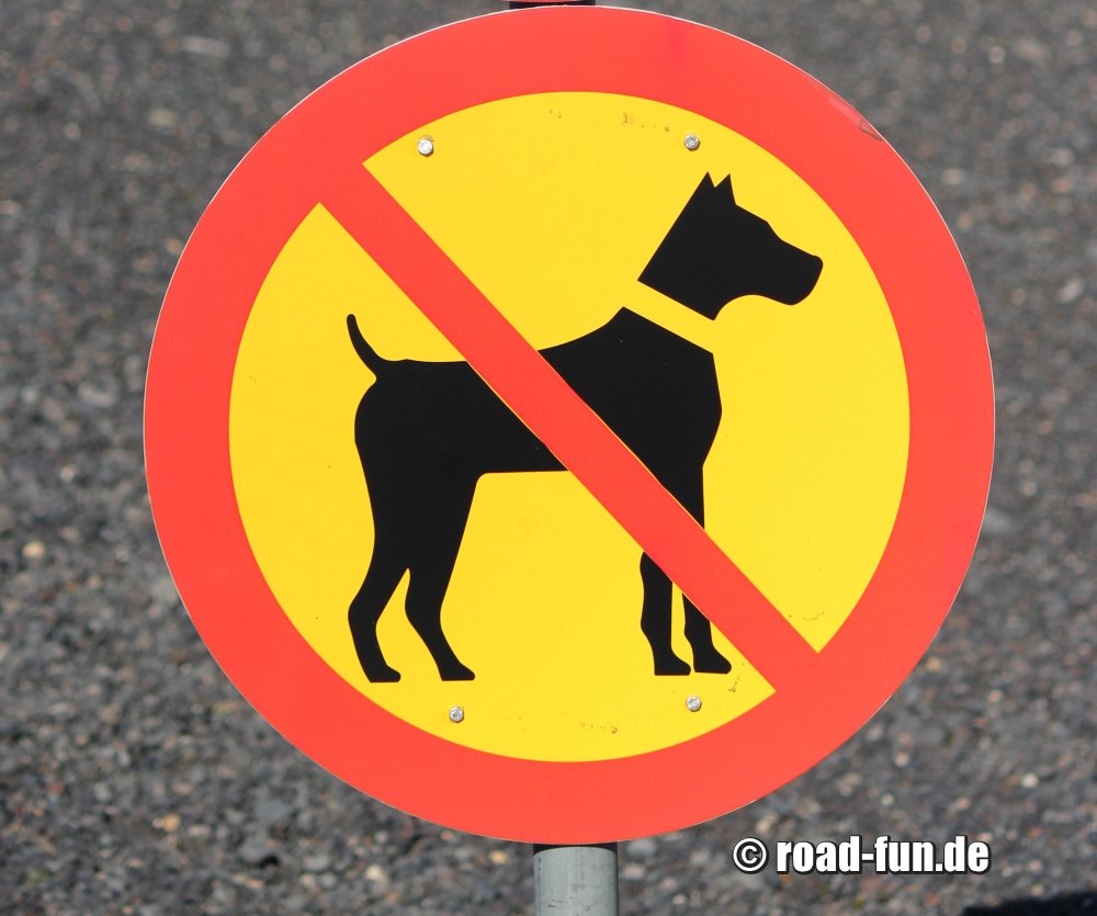 Verbotsschild Island - Hunde
