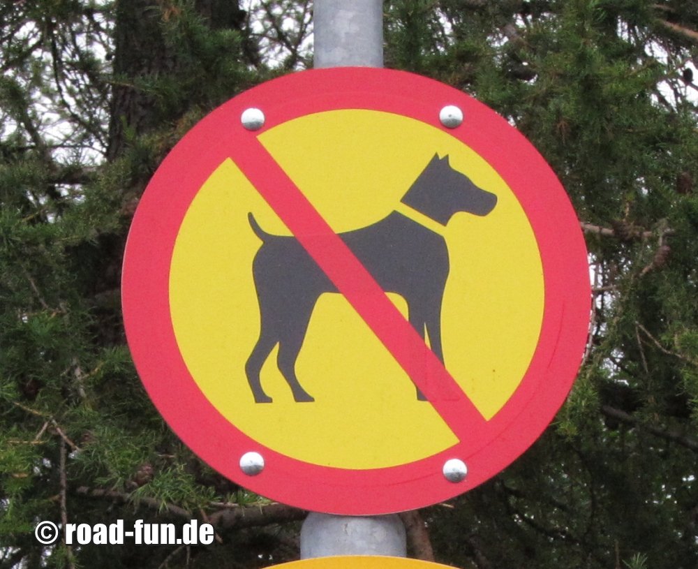 Verbotsschild Island - Hunde