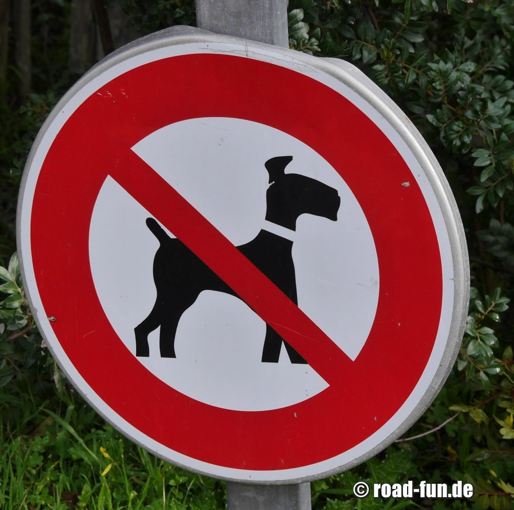 Verbotsschild Korsika - Hundeverbot
