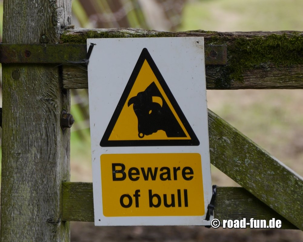 Warningsign Wales - Achtung Bulle