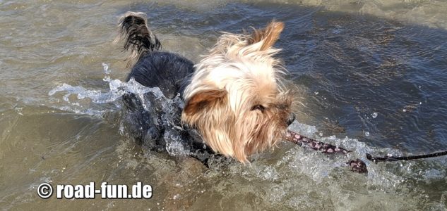 2025 Lucky in der Nordsee