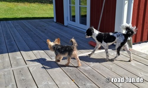 2025 Lucky und Otto