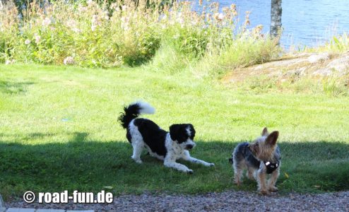 2025 Lucky und Otto 
