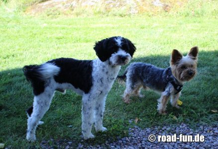 2025 Lucky und Otto 