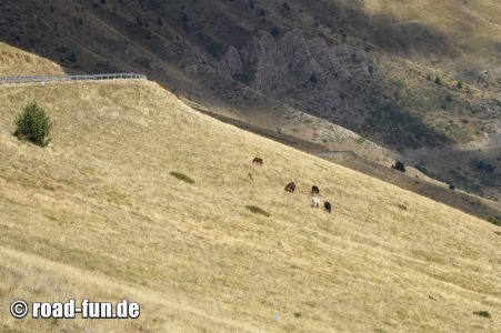 Andorra - Coll de Cabús 