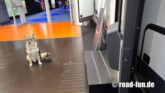 Der coolste Hund der Caravan Salon
