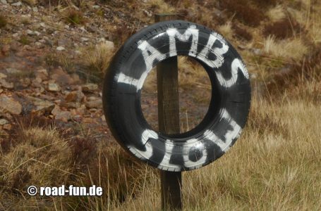 Gefahrenhinweis Schottland - Lämmer