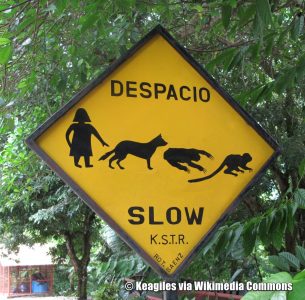 Gefahrenschild Costa Rica - Menschen & Tiere