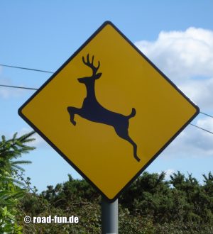 Gefahrenschild Irland - Wildwechsel Hirsche
