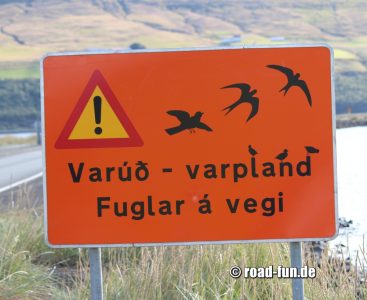 Gefahrenschild Island - Vögel kreuzen