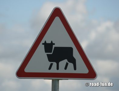 Gefahrenschild Litauen - Viehtrieb Kuehe