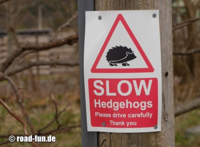Gefahrenschild Schottland - Igel