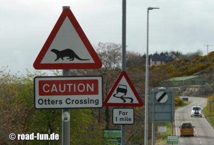 Gefahrenschild Schottland - Otters Crossing