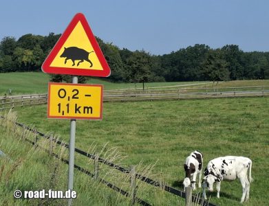 Gefahrenschild Schweden - Wildschweine