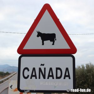 Gefahrenschild Spanien - Kühe
