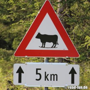 Gefahrenschild Österreich - Wintersport Kühe (Snowboard)