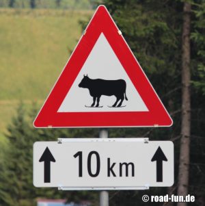Gefahrenschild Österreich - Wintersport Kühe (Abfahrtski)