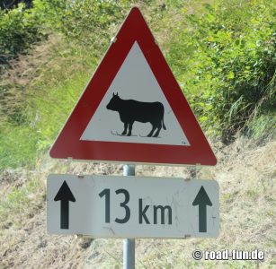 Gefahrenschild Österreich - Wintersport Kühe (Langlauf)