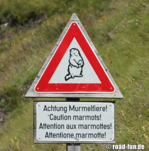 Gefahrenschild Österreich - Murmeltiere