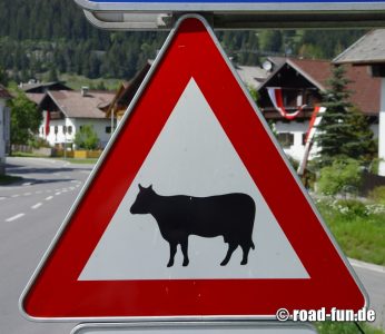 Gefahrenschild Österreich - Kühe (Rasse 1)
