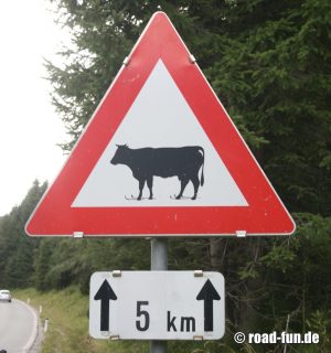 Gefahrenschild Österreich - Wintersport Kühe (Langlauf)