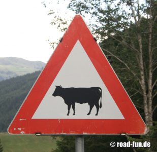 Gefahrenschild Österreich - Kühe (Rasse 2 )