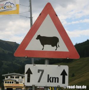 Gefahrenschild Österreich - Kühe (Rasse 3)