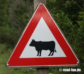 Gefahrenschild Österreich - Kühe (Rasse 4)