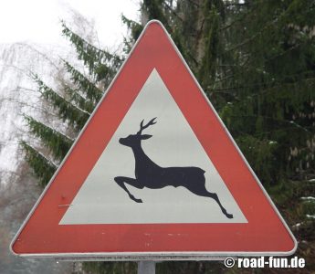 Gefahrenschild Österreich - Wildwechsel 1