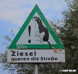 Gefahrenschild Österreich - Ziesel kreuzen