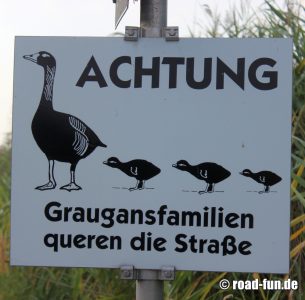 Gefahrenschild Österreich - kreuzende Grausgansfamilien