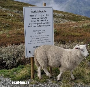 Hinweisschild Norwegen - Straßengebühr bezahlen