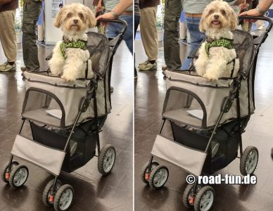 Auf der Caravan Salon mit Hunde-Womo
