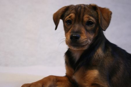 Rossi als Baby - Fotoshooting