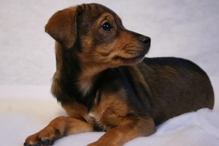 Rossi als Baby - Fotoshooting