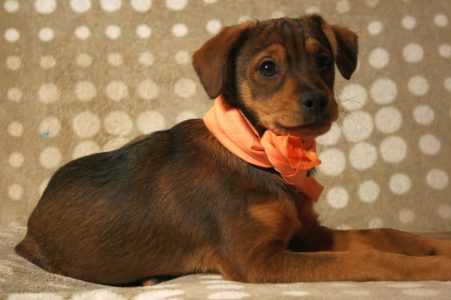 Rossi als Baby - Fotoshooting